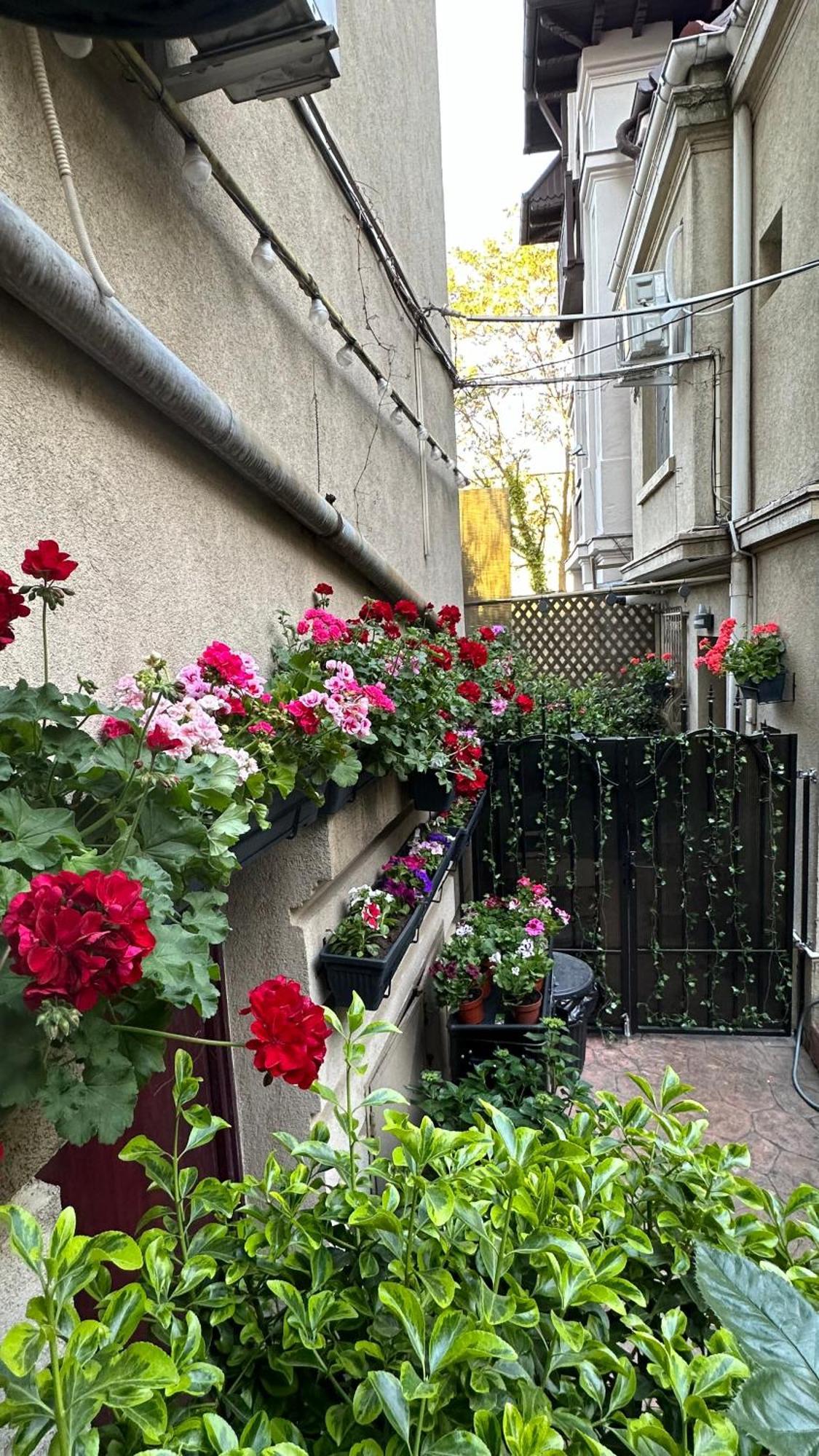 Casa De Povesti - Calea Victoriei Leilighet Bucureşti Eksteriør bilde